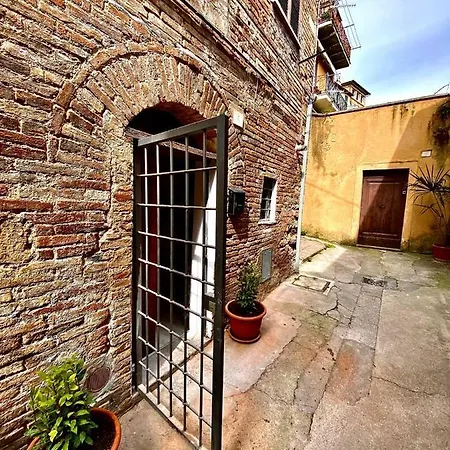 Mini Flat