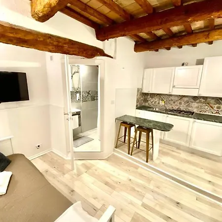 Mini Flat
